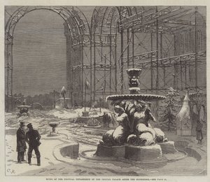 Ruins of the Tropical Department of the Crystal Palace after the Snowstorm by Sir John Charles Robinson